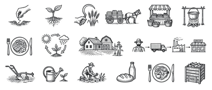 Collection of hand-drawn farming and food production icons illustrating the journey from seed to table in a vintage style