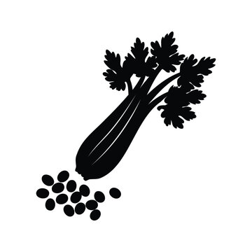 Black and white celery seed cluster with leafy stalk silhouette vector illustration, celery seeds silhouette vector illustration
