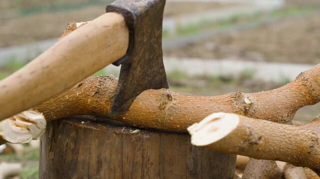 Slow motion of axe chopping wooden branch close-up