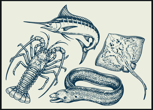 vintage marine illustration of lobster swordfish stingray and eel with detailed linework on beige background