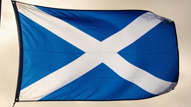 Mild breeze causing blue Saltire flag billowing curling and flattening on hoist grommet at pale sky