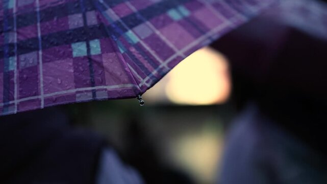Close-up of a purple plaid umbrella edge with raindrops and dark blurred background, creating a moody rainy atmosphere with copy space
