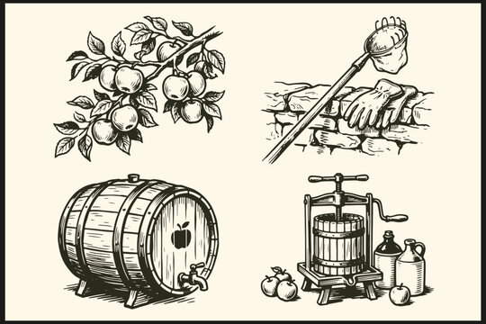 Vintage black and white cider making illustrations with apples harvesting barrel and press