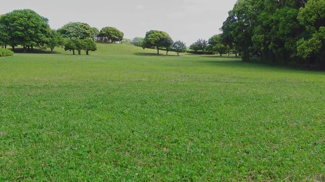 日本の晴れた日の公園・広場｜千葉県千葉市・千葉ポートパーク