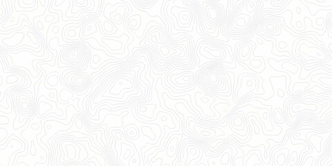 White topography topology vector white background fresh contour map texture. white seamless pattern wave Topography and geography map grid abstract backdrop. © Mr Jishana