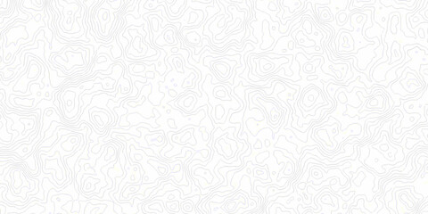 White topography topology vector white background fresh contour map texture. white seamless pattern wave Topography and geography map grid abstract backdrop. © Mr Jishana