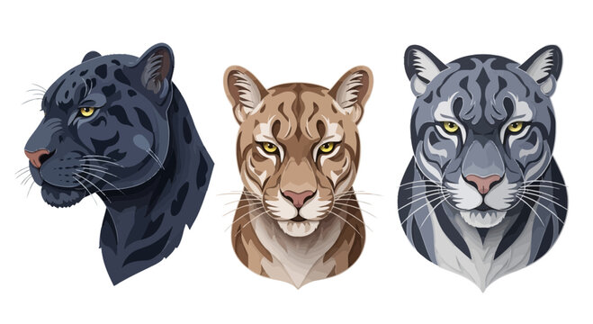 Three Big Cat Portraits: Black Panther, Cougar, Snow Leopard - Vector Art