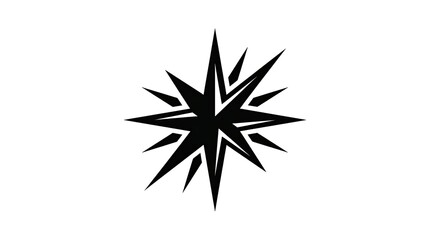 Obraz premium black and white star