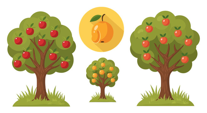 A charming illustration featuring two apple trees and a small orange tree, with a ripe mango fruit depicted in a circle above the smaller tree