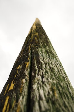 Texture abstraite du piquet en bois sur la plage &agrave; Berck-sur-Mer dans le Pas-de-Calais en France