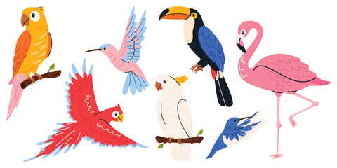 Fototapeta premium Cute tropical birds vector set with parrot, toucan, flamingo, hummingbird and cockatoo. Exotic jungle animals in cartoon flat style. Colorful hand drawn birds isolated on white background.