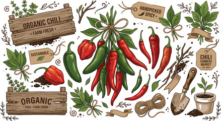 Organic red and green chili pepper farming vector clip art set with wooden crates fresh herbs garden trowel potting plants and vintage price tags © Md