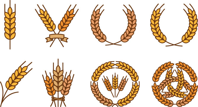Wheat Ears and Agricultural Laurel Wreath Vector Emblem Set Featuring Grain Stalks Sheaf and Circular Frames for Bakery or Organic Brewery Branding