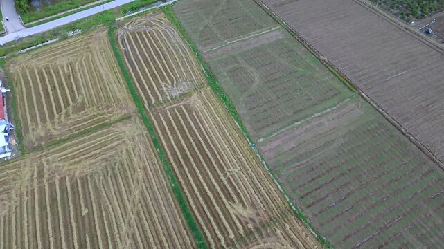 Drone shot gliding over rural farm land with harvested crop patterns transitioning into a small asphalt road next to a water canal lush green trees and countryside houses in Southeast Asia during the 