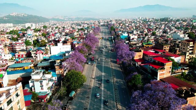 Drone view of Ring Road highway lined with blooming jacaranda trees in Lalitpur, Nepal