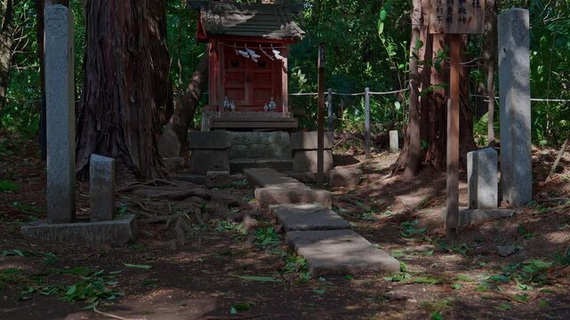 A small vermilion Shinto shrine sits on a stone pedestal at the top of worn stepping stones, flanked by massive ancient tree trunks, stone pillars, and kanji inscribed wooden boards deep within a sacr