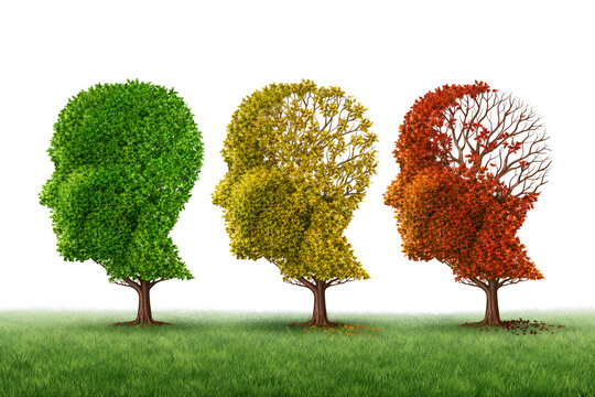 Trees in human head shapes display seasonal change from green to autumn colors on grass with white background
