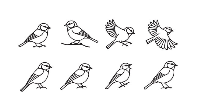 Collection of stylized blue tit birds in various poses on a white background