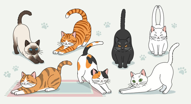 Collection of various domestic cats stretching and relaxing in different poses.