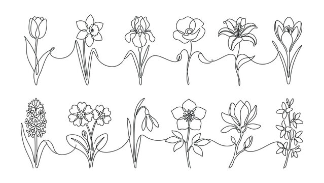 A collection of various flower line drawings.