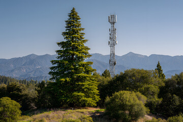 Obraz premium A landscape showcases a tall cell tower in a wooded area, with a large evergreen tree in front and a distant mountain range