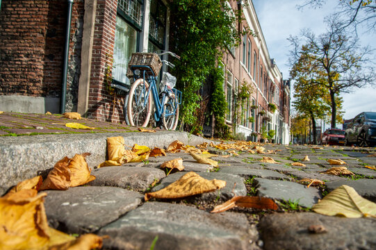Blue Bicycle Parked Cobblestone Street with Autumn Leaves