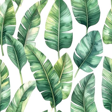Tropical green leaves on white background.