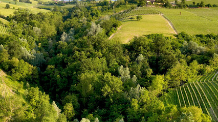 Obraz premium Aerial View of Lush Green Vineyards and Forest in Piedmont Italy