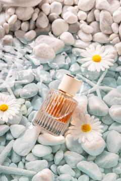 Sophisticated amber perfume on the coast of stones and flowers.