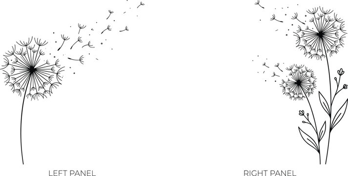 Minimalist dandelion line art vectors with blowing seeds and flying petals on a clean white background for modern design