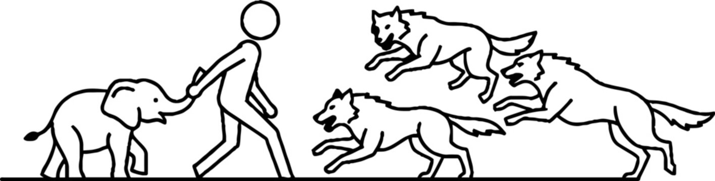 Person and baby elephant facing a pack of wolves