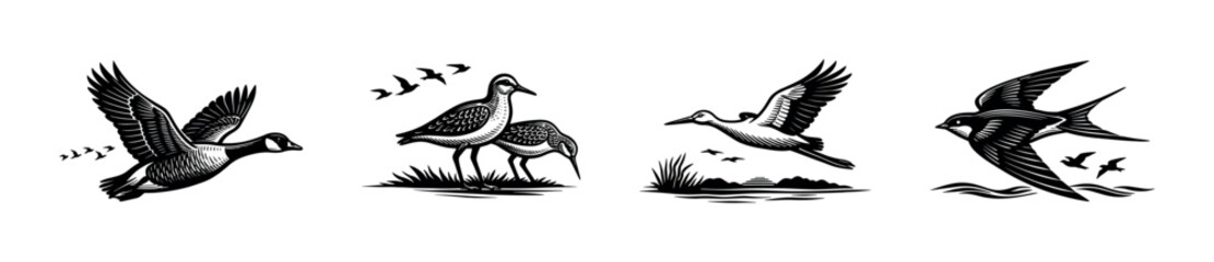Fototapeta premium Collection of diverse birds in flight and on land, rendered in woodcut style