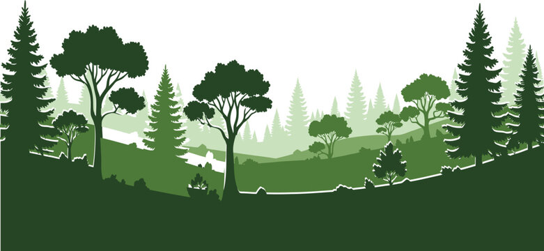 Forest landscape with pine and deciduous trees, panoramic view of a woodland in green shades, vector illustration of a nature scenery