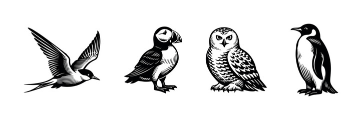 Obraz premium Collection of four distinct bird illustrations in a woodcut style