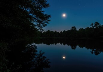 Fototapeta premium A peaceful nocturnal scene where the cool, silvery glow of moonlight illuminates a still, dark forest edge and reflective body of water ,landscape ,trees ,background