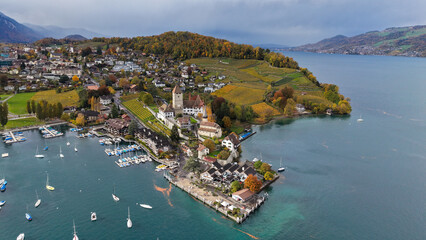 Fototapeta premium Aerial view of Spiez Castle – Autumn Colors in Lake Thun, Switzerland