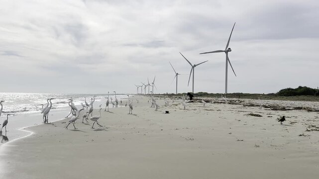 Row of modern wind turbines in a rural coastal landscape generating clean renewable energy under a blue sky.