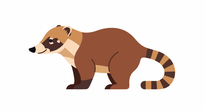 A cute coati with a long ringed tail stands on a white background