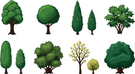 Green tree and bush vector collection featuring various garden plants, cypress trees, oak shrubs, forest foliage, and landscape vegetation elements on white background. © Mdjony
