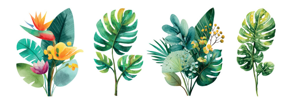 Tropic foliage elements featuring monstera, palm, and strelitzia leaves with exotic flowers in vibrant watercolor, creating a decorative botanical design isolated on white