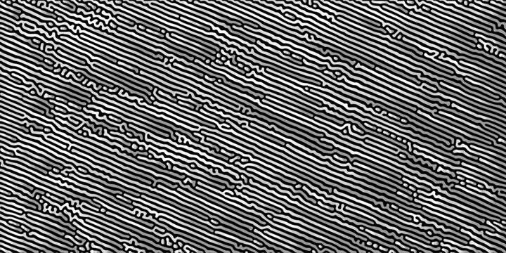 Abstract black and white pattern of swirling lines and shapes. High contrast turing pattern of black meandering lines on a white background, concept for abstract backgrounds, textile prints,decoration