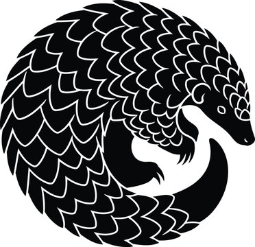 Black and white pangolin curled up