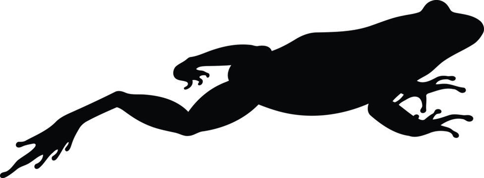 Black silhouette of a jumping frog