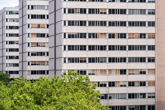 Dense windows form an urban housing block in Lyon France, where treetops meet a residential apartment building facade and architecture