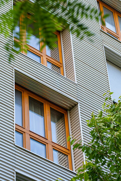 Green leaves soften timber windows on a Lyon France apartment building facade, adding residential texture to urban architecture detail