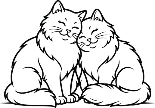 Two cute cats sitting together on white background