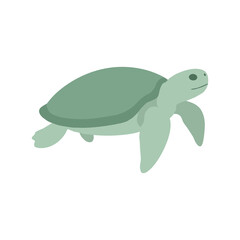 Simple sea turtle illustration with green shell and flippers, isolated background in minimal flat vector style, side view marine animal design © Anlust