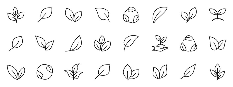 Leaf icon set. Leaves of trees and plants icons in line style. Editable web icons for natural, eco, bio, vegan labels etc. Vector illustration.