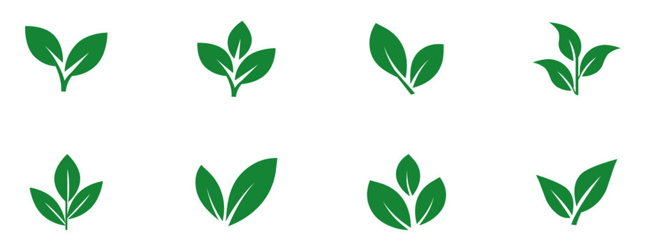 Set of green leaf icons. Leaves of trees and plants. Leaves icon. Collection green leaf. Elements design for natural, eco, bio, vegan labels. Vector illustration.