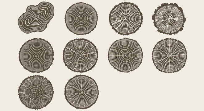 Vintage wood cross section set, 10 rustic timber tree rings icons, organic wood grain texture circles, brown forest trunk slices vector
